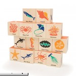Uncle Goose Ocean Blocks Made in The USA  B07B417SMR